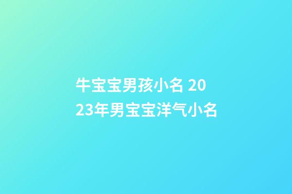 牛宝宝男孩小名 2023年男宝宝洋气小名
